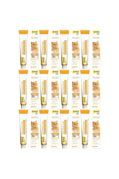 Multi-Vitamin Kedi Macunu 100gr - 12 Adet