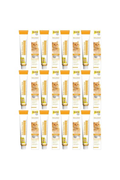 Multi-Vitamin Kedi Macunu 100gr - 12 Adet