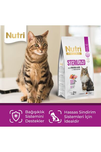 Adult Sterilised Kısırlaştırılmış Somonlu Yetişkin Kedi Maması 2 kg