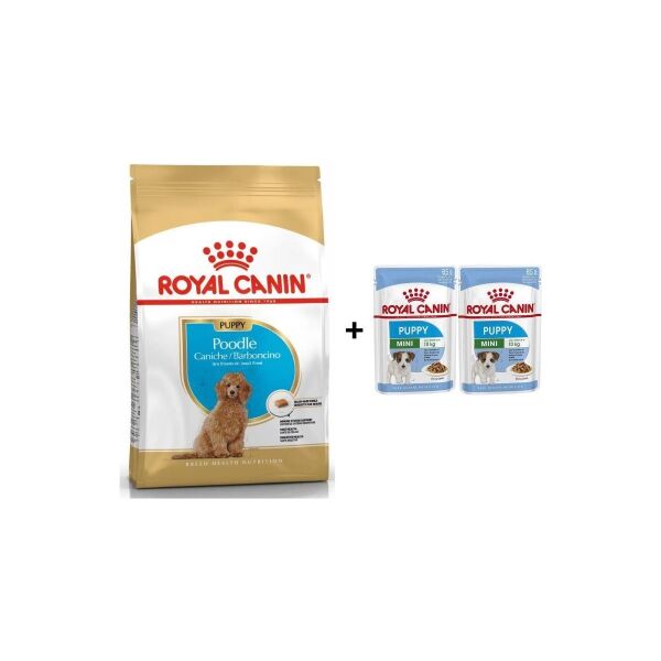 Poodle Puppy Köpek Maması 3 kg + 2 Adet Yaş Mama Hediye
