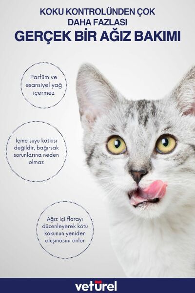 Kedi Ağız Bakımı Köpek Ağız Kokusu Diş Eti Yarası Enfeksiyonu Doğal Ağız ve Diş Bakım Spreyi 100ml