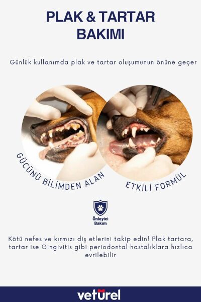 Kedi Ağız Bakımı Köpek Ağız Kokusu Diş Eti Yarası Enfeksiyonu Doğal Ağız ve Diş Bakım Spreyi 100ml