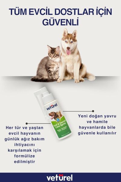 Kedi Ağız Bakımı Köpek Ağız Kokusu Diş Eti Yarası Enfeksiyonu Doğal Ağız ve Diş Bakım Spreyi 100ml