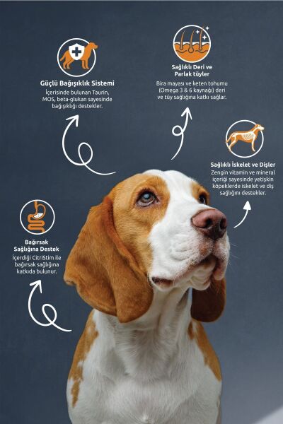 Kuzu Etli Yetişkin Köpek Maması 15 Kg