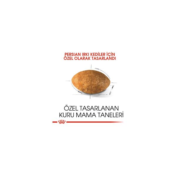 Persian Adult Yetişkin İran Kedi Maması 2 Kg