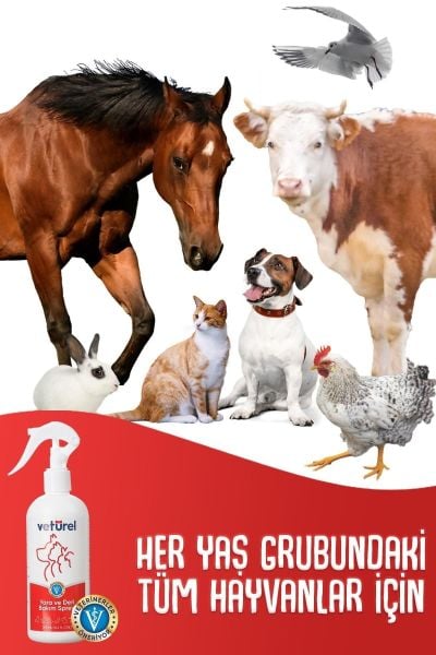 Kedi Köpek Yara Deri Günlük Bakımı Saf Hipokloröz Yanık Kızarıklık Tahriş Hot Spot Yara Spreyi Refil