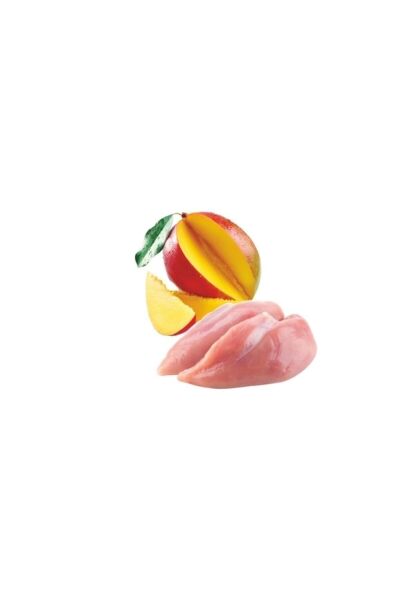 Pet Yavru Kediler Için Tavuk Filota Ve Mango Mix 70 Gr