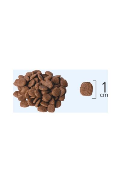 Düşük Tahıllı Somonlu Hamsili Ve Böğürtlenli Kısırlaştırılmış Yetişkin Kedi Kuru Maması 2.25