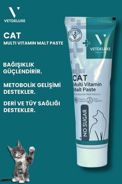 Multivitamin Malt Paste Taurin ve 13 Farklı Vitamin İçeren Malt Macun 100 Gr