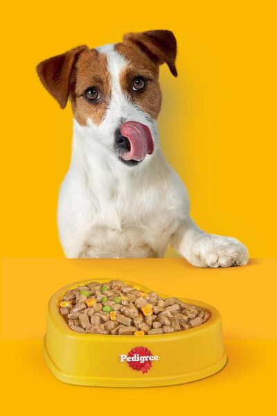 Yetişkin Sığır Etli Ve Sebzeli Köpek Kuru Mama 2.6 Kg