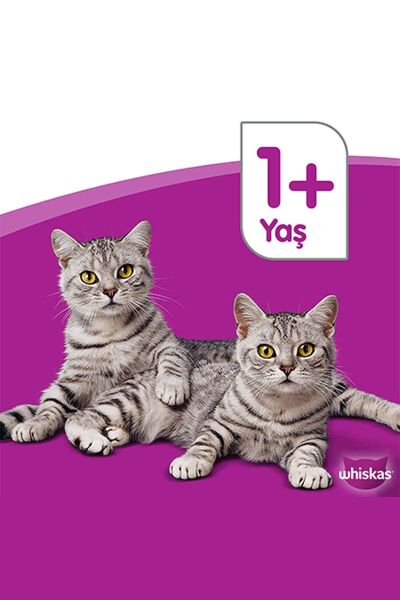 Tavuklu Kısırlaştırılmış Kedi Maması 1.4 Kg