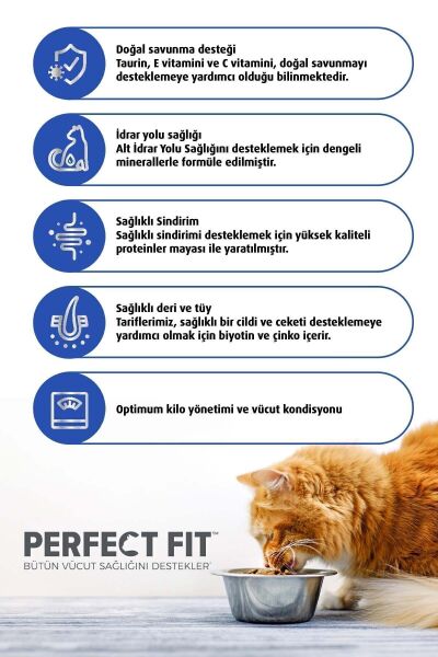 Yetişkin Tavuklu Kedi Kuru Mama 750g 3x