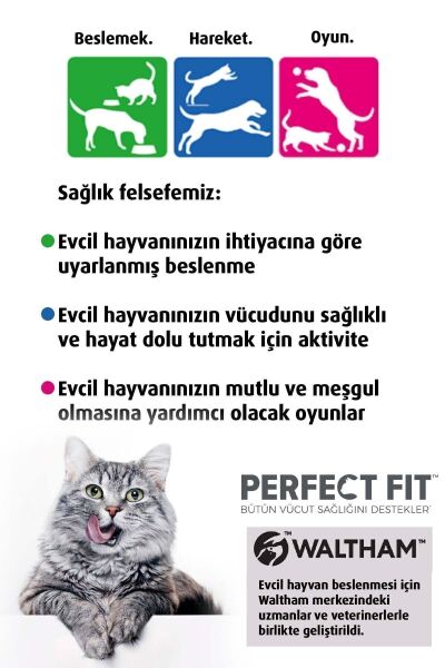 Yetişkin Tavuklu Kedi Kuru Mama 750g 3x