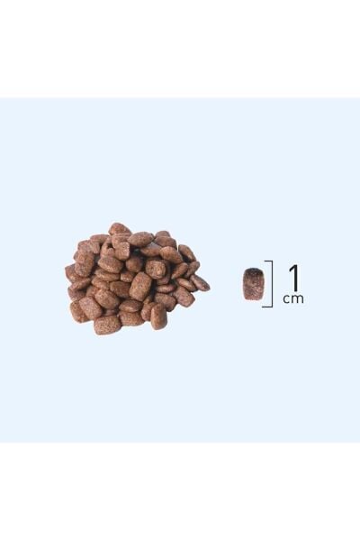 Düşük Tahıllı Tavuk Etli Yetişkin Kedi Maması 10 Kg