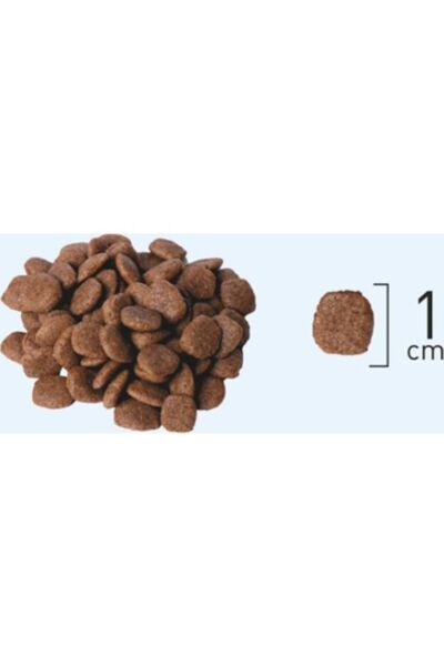 Düşük Tahıllı Somonlu Hamsili Böğürtlenli Kısırlaştırılmış Kedi Kuru Maması 8 2 Kg