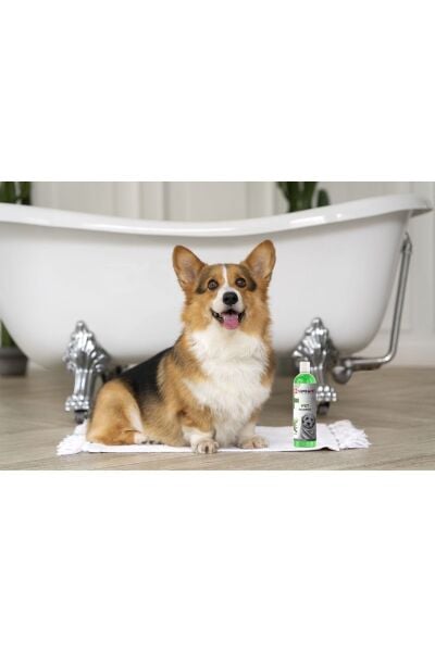 Dış Parazit Karşıtı, Tüy Dökülme Engelleyici Çay Ağacı Özlü Köpek Şampuanı 200 ml