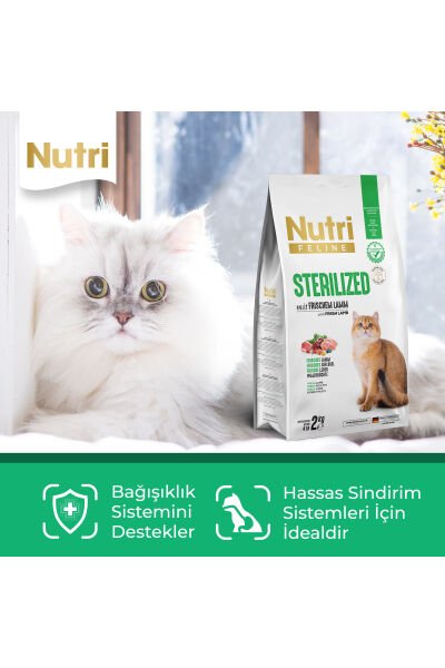 10 Kg Sterilised Kuzu Etli Kuru Kedi Maması