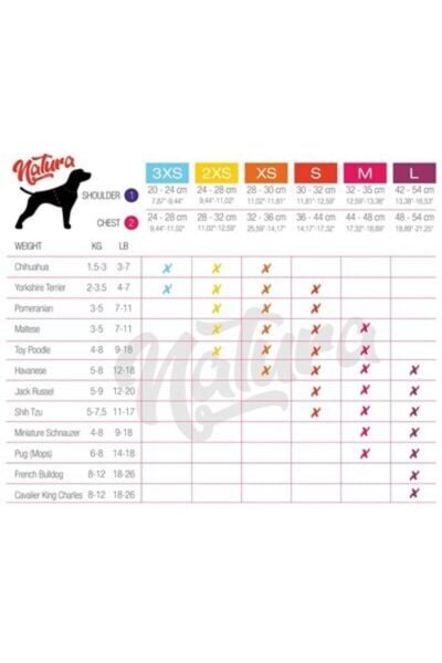 Air Net Bel Tasması S Siyah