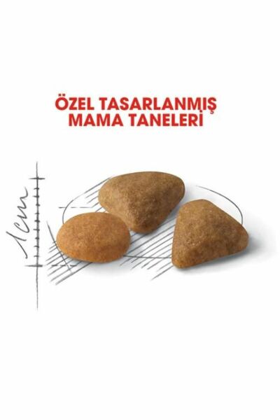 ® Savour Exigent Seçici Kedilere Özel Yetişkin Kedi Maması 2 Kg