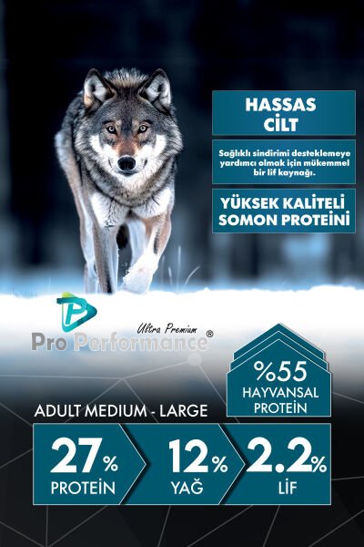 Somonlu Ve Pirinçli Yetişkin Köpek Maması – Orta Ve Büyük Irk – 12 Kg