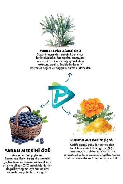 Somonlu Ve Pirinçli Yetişkin Köpek Maması – Orta Ve Büyük Irk – 12 Kg