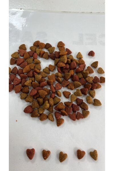 Yetişkin Kedi Kuru Maması Gurme 15 Kg