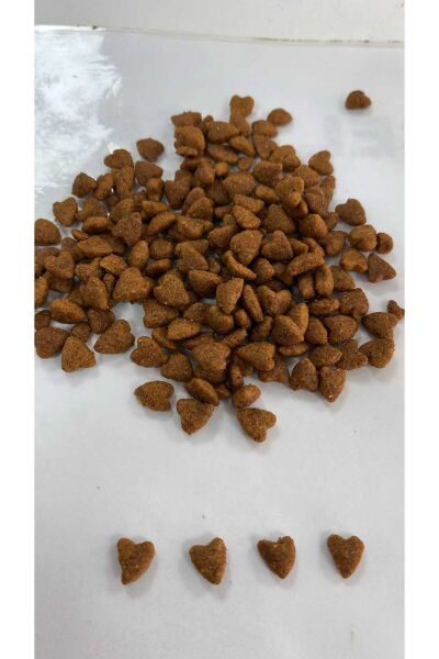 Yetişkin Kedi Kuru Maması Tavuklu 15 Kg