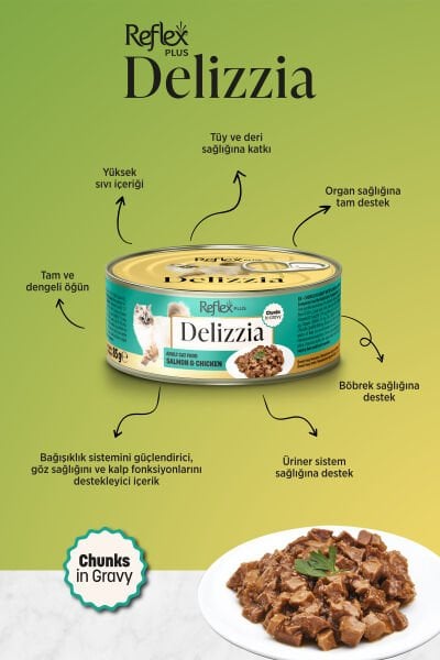 Plus Delizzia / Sos İçinde Parça Etli Somonlu & Tavuklu Yetişkin Kedi Maması 85g x 6 Adet