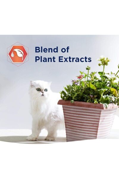 Fast Acting Hızlı Topaklanma Kedi Kumu - 10 Lt X 2 Adet