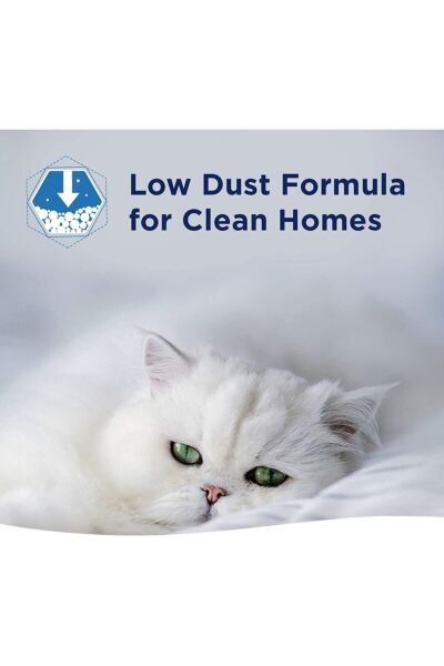 Fast Acting Hızlı Topaklanma Kedi Kumu - 10 Lt X 2 Adet