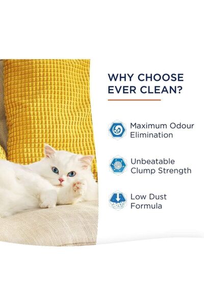 Fast Acting Hızlı Topaklanma Kedi Kumu - 10 Lt X 2 Adet