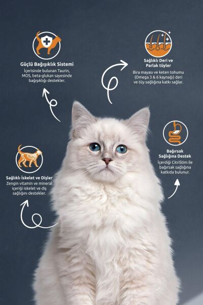 Somonlu Ve Pirinçli Kısırlaştırılmış Yetişkin Kedi Maması 10 Kg