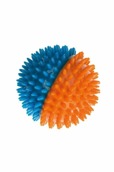 Sesli Dikenli Termoplastik Kauçuk Sesli Köpek Oyuncağı 9.1 Cm