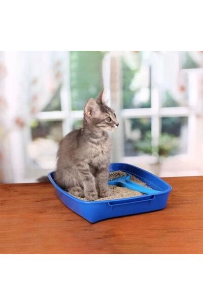 Cat Detect Hastalık Kontrolu Kristal Kedi Kumu 1.5 Kg