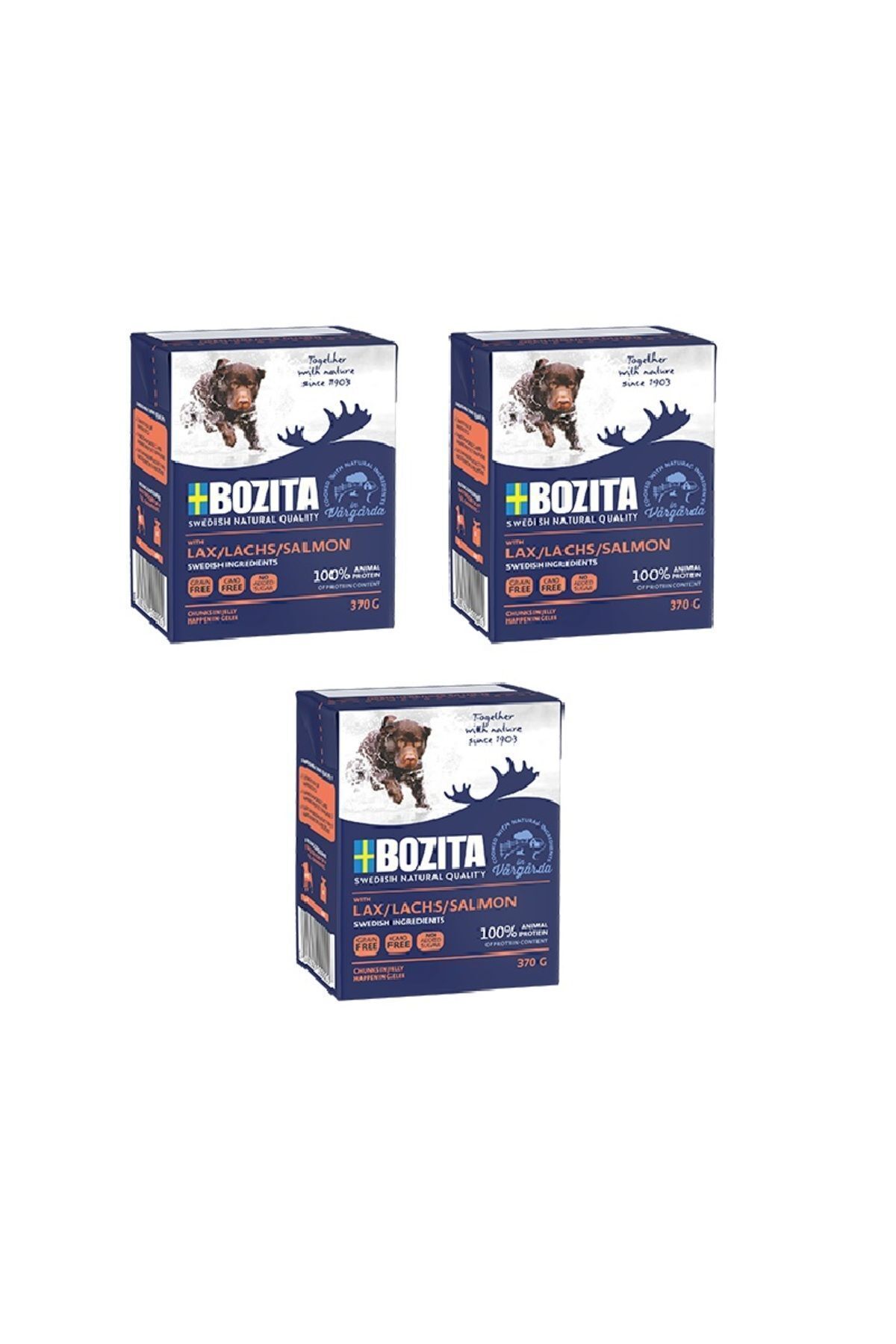 Somon Balıklı Tahılsız Köpek Yaş Maması 370 Gr. X 3 Adet