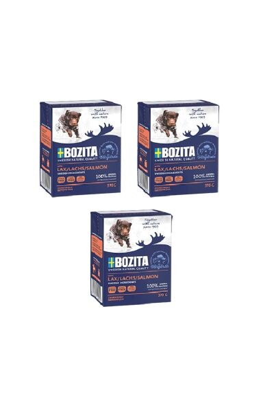 Somon Balıklı Tahılsız Köpek Yaş Maması 370 Gr. X 3 Adet