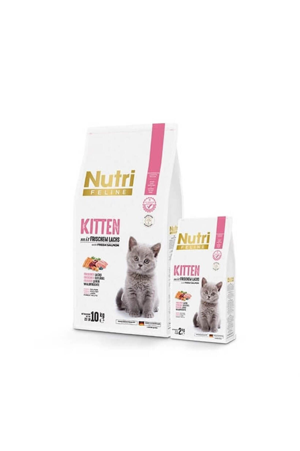 Kıtten 10 Kg